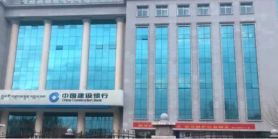 中國建設(shè)銀行西藏分行動環(huán)監(jiān)控項(xiàng)目